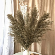 110 - 120cm Large Plume,Dried Fluffy Pampas Grass,Wholesale Boho Wedding Decor,Natural Real Flower,Home Decor,Garden Decoration