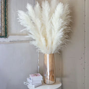 110 - 120cm Large Plume,Dried Fluffy Pampas Grass,Wholesale Boho Wedding Decor,Natural Real Flower,Home Decor,Garden Decoration