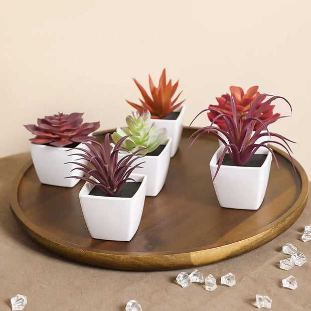 6PCS (SET) Mini Artificial Succulent Green Plant Plastic Wwhite Basin, Home Window Sill, Restaurant Desktop Bookshelf Decoration