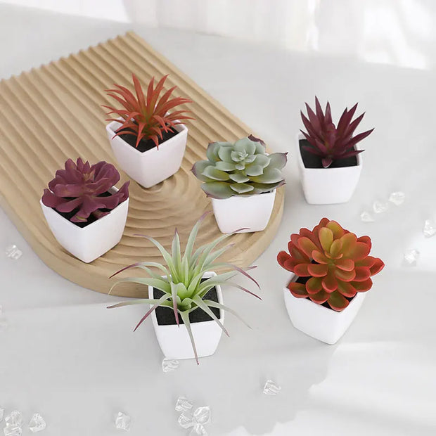 6PCS (SET) Mini Artificial Succulent Green Plant Plastic Wwhite Basin, Home Window Sill, Restaurant Desktop Bookshelf Decoration