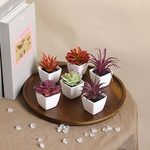 6PCS (SET) Mini Artificial Succulent Green Plant Plastic Wwhite Basin, Home Window Sill, Restaurant Desktop Bookshelf Decoration