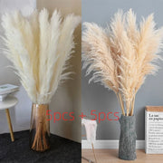 110 - 120cm Large Plume,Dried Fluffy Pampas Grass,Wholesale Boho Wedding Decor,Natural Real Flower,Home Decor,Garden Decoration