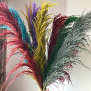 110 - 120cm Large Plume,Dried Fluffy Pampas Grass,Wholesale Boho Wedding Decor,Natural Real Flower,Home Decor,Garden Decoration