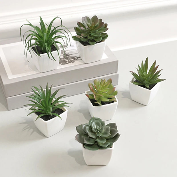 6PCS (SET) Mini Artificial Succulent Green Plant Plastic Wwhite Basin, Home Window Sill, Restaurant Desktop Bookshelf Decoration