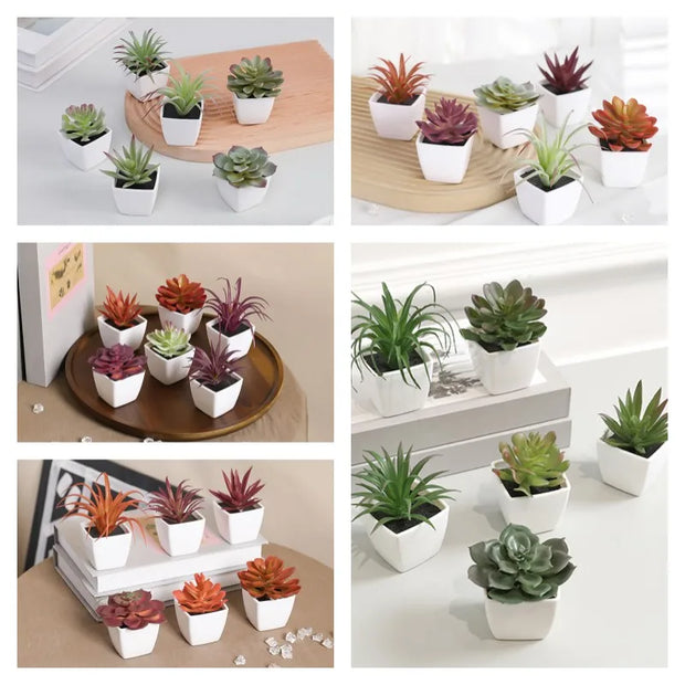 6PCS (SET) Mini Artificial Succulent Green Plant Plastic Wwhite Basin, Home Window Sill, Restaurant Desktop Bookshelf Decoration