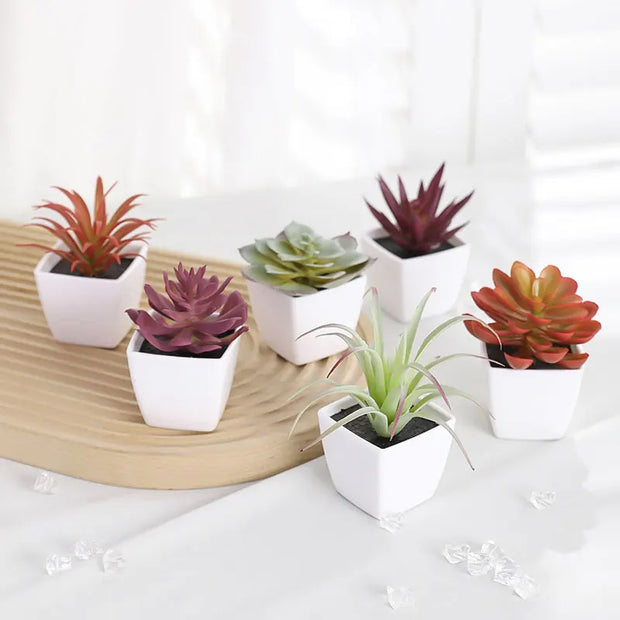 6PCS (SET) Mini Artificial Succulent Green Plant Plastic Wwhite Basin, Home Window Sill, Restaurant Desktop Bookshelf Decoration