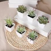 6PCS (SET) Mini Artificial Succulent Green Plant Plastic Wwhite Basin, Home Window Sill, Restaurant Desktop Bookshelf Decoration